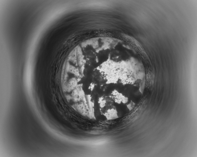 X0000093400765200711091341