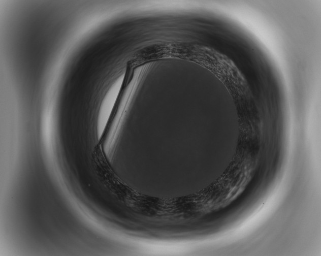 X0000093400766200711091341