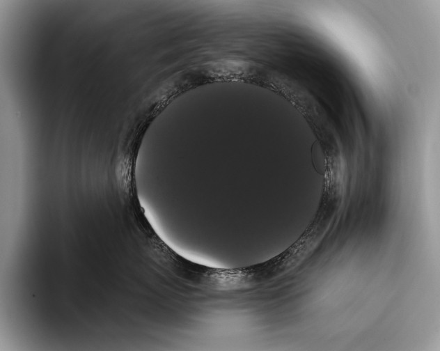 X0000093400767200711091341