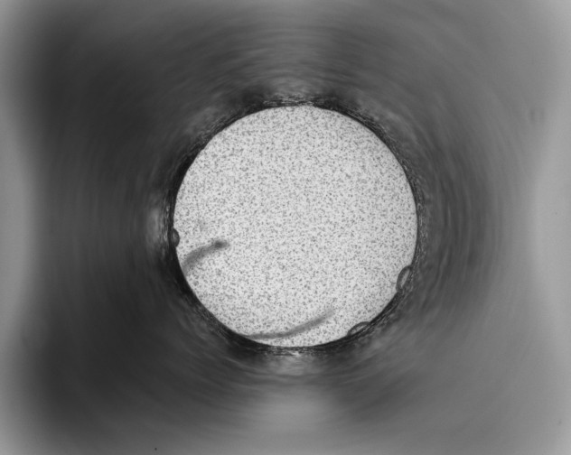 X0000093400768200711091341