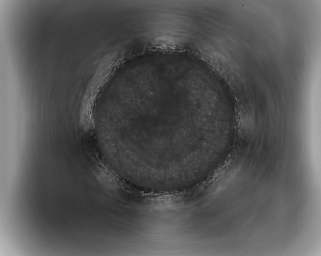 X0000093400769200711091340