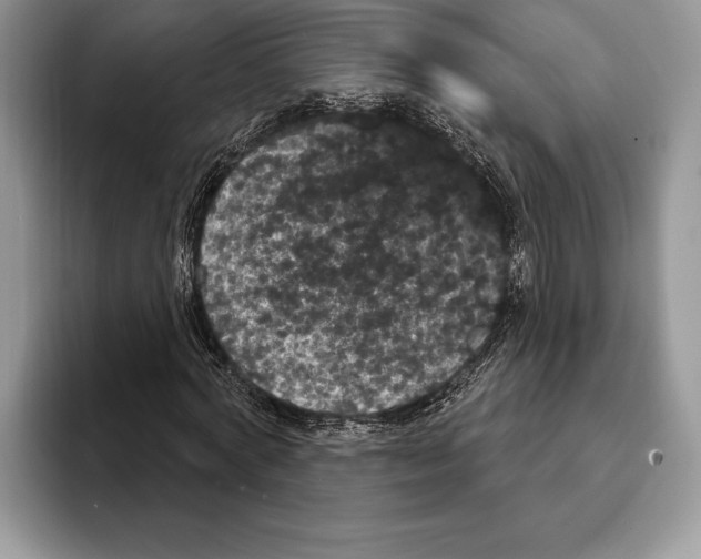 X0000093400772200711091340