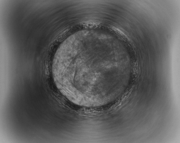 X0000093400774200711091340