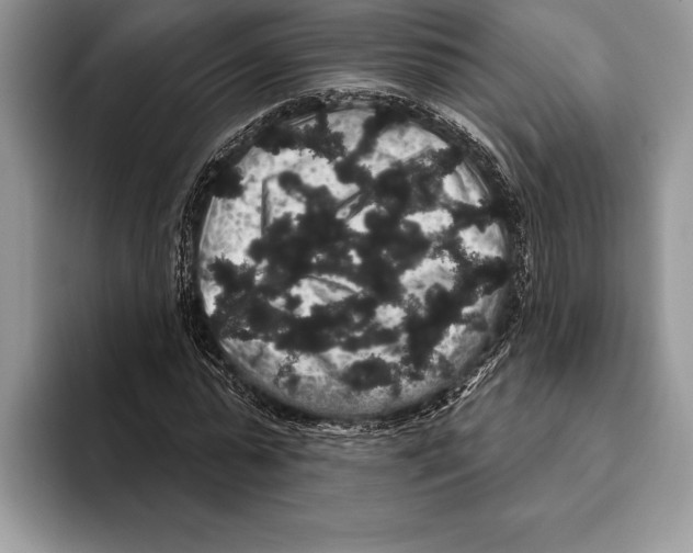 X0000093400775200711091340