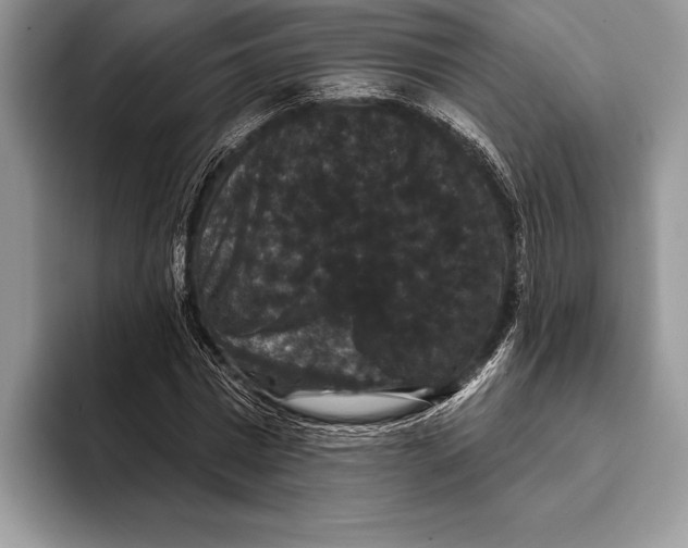 X0000093400777200711091340