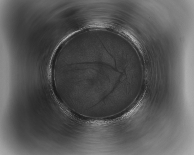 X0000093400779200711091340