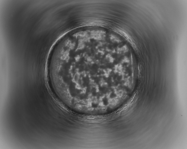 X0000093400780200711091340