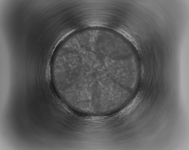 X0000093400782200711091340