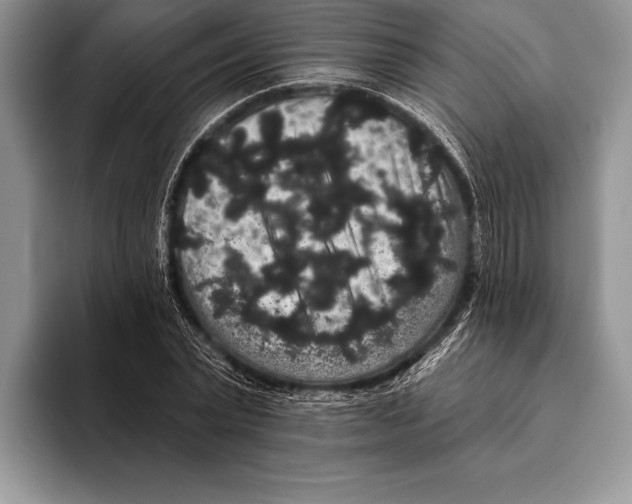 X0000093400783200711091340