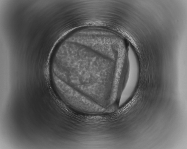 X0000093400784200711091340