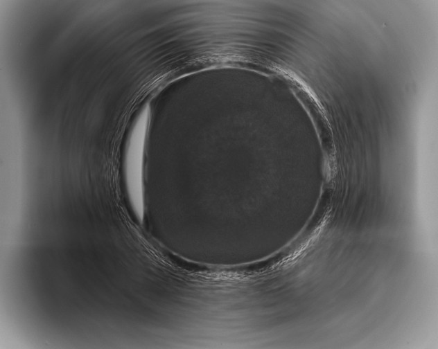 X0000093400785200711091340