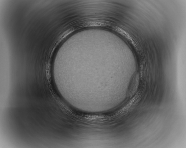 X0000093400786200711091340