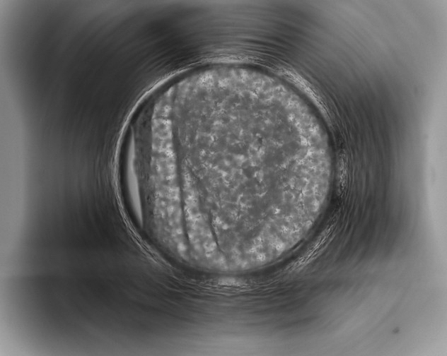 X0000093400787200711091340