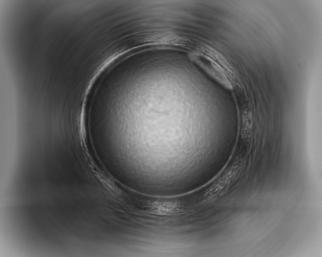 X0000093400788200711091340