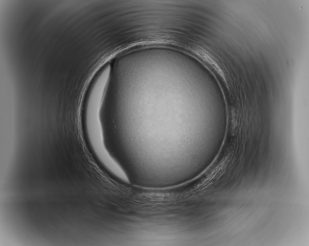 X0000093400789200711091340