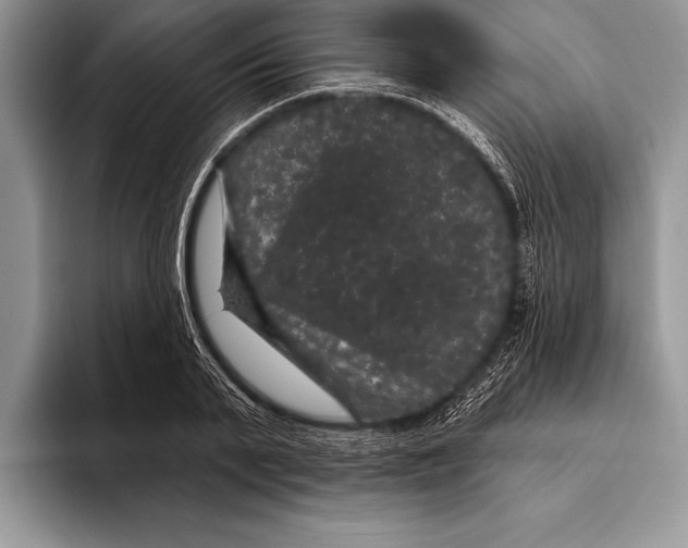 X0000093400791200711091340