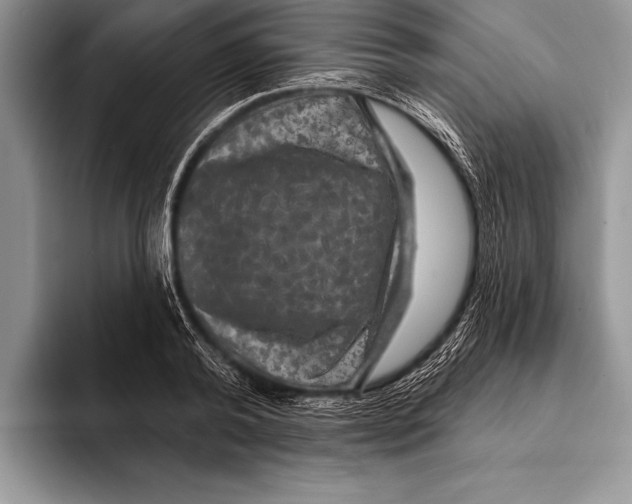 X0000093400792200711091340