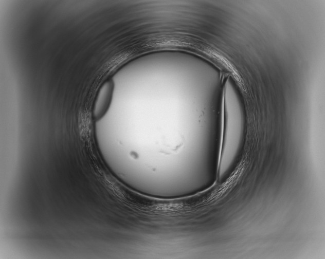 X0000093400793200711091340