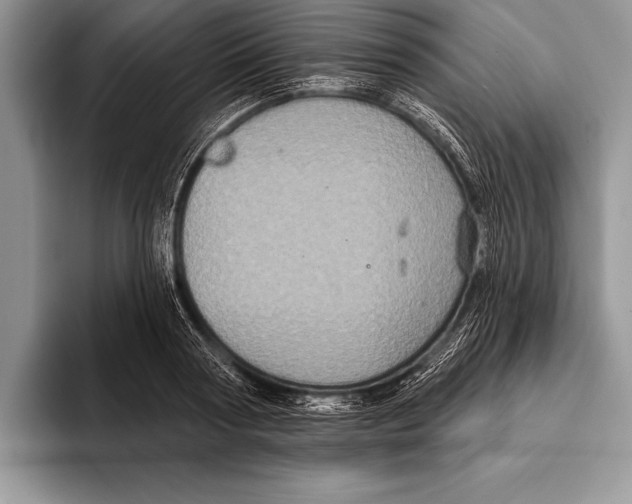 X0000093400794200711091340