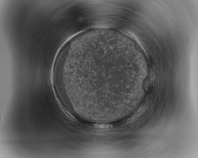 X0000093400795200711091340