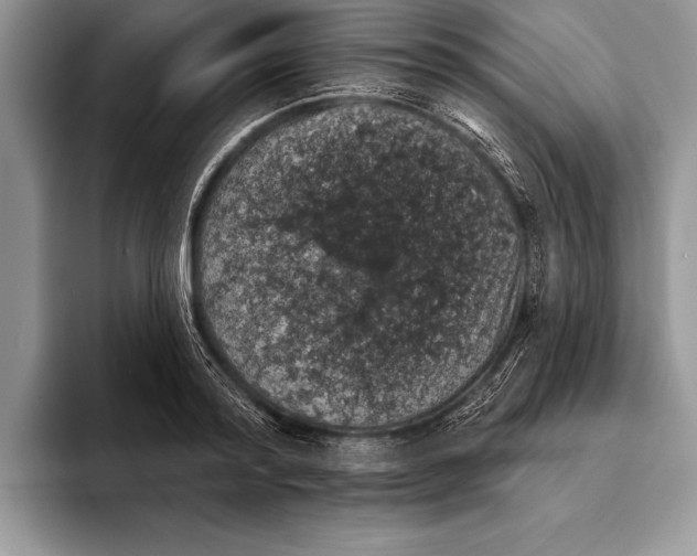 X0000093400796200711091340