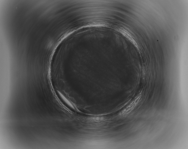 X0000093400797200711091340