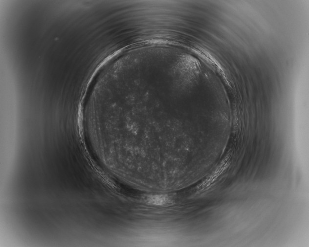 X0000093400798200711091340