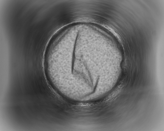 X0000093400799200711091340