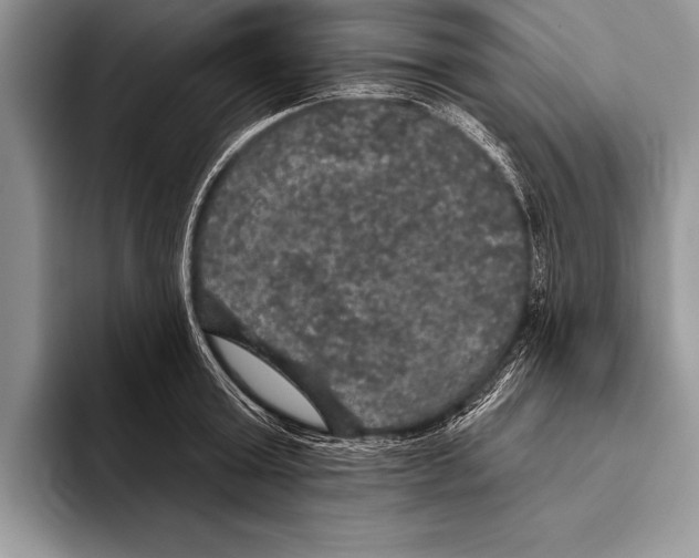 X0000093400803200711091340