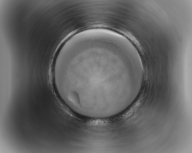 X0000093400806200711091340