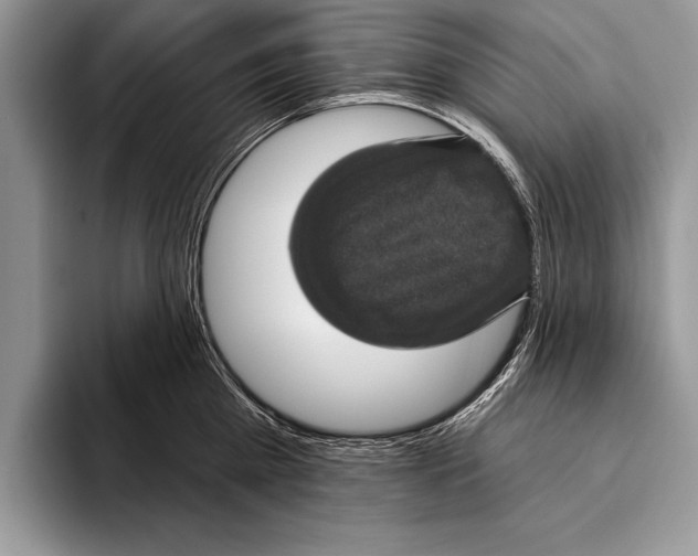 X0000093400809200711091340