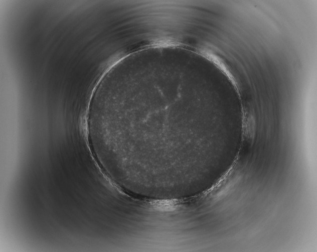 X0000093400810200711091340