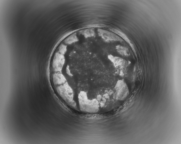 X0000093400811200711091340