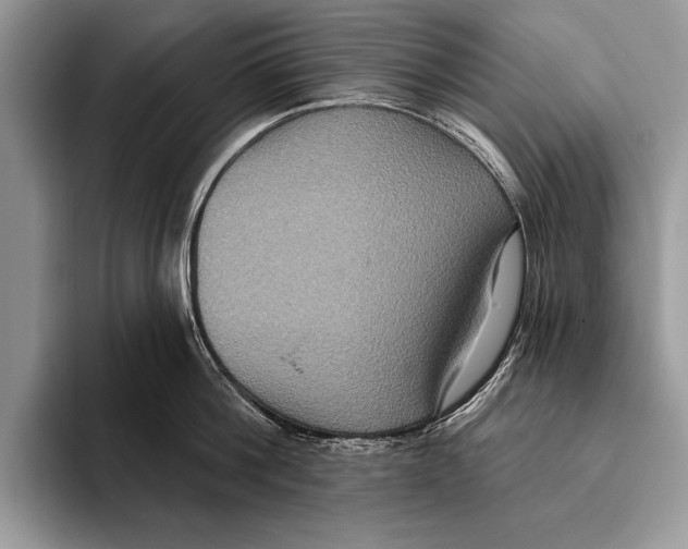 X0000093400812200711091340