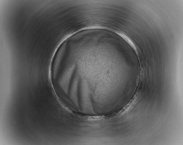 X0000093400813200711091340