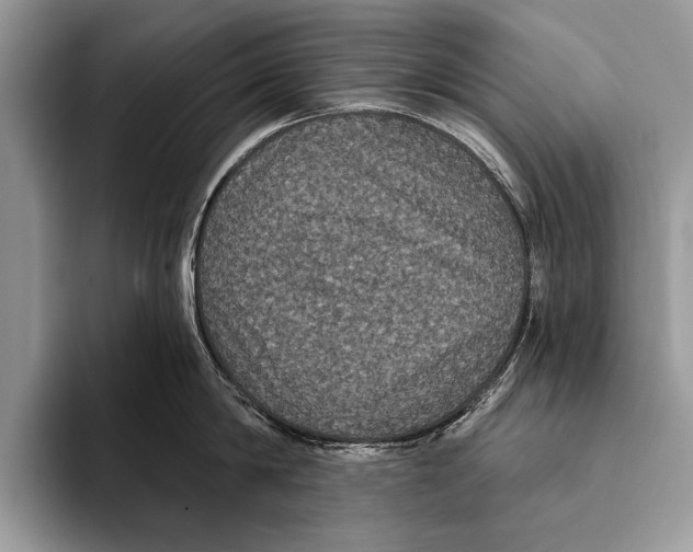 X0000093400814200711091340