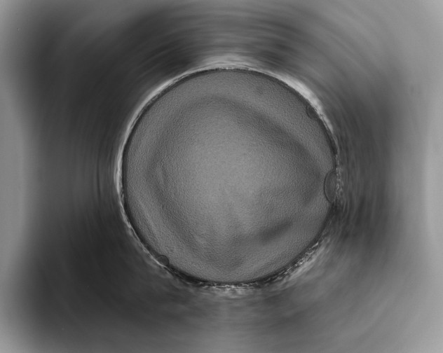 X0000093400815200711091340