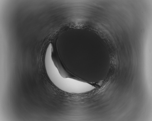 X0000093400818200711091339