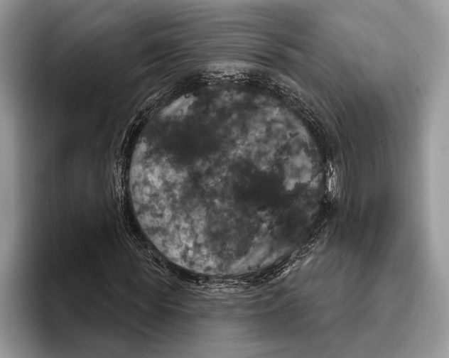 X0000093400819200711091339