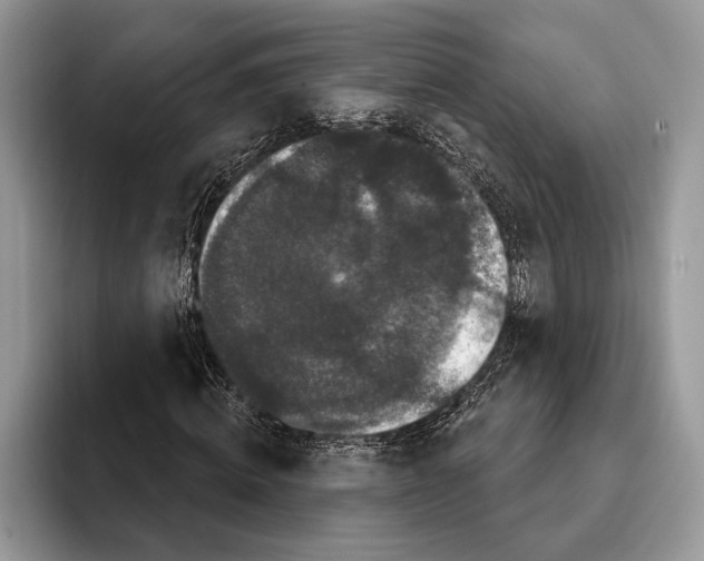 X0000093400820200711091339