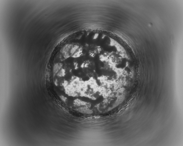 X0000093400823200711091339