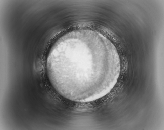 X0000093400824200711091339