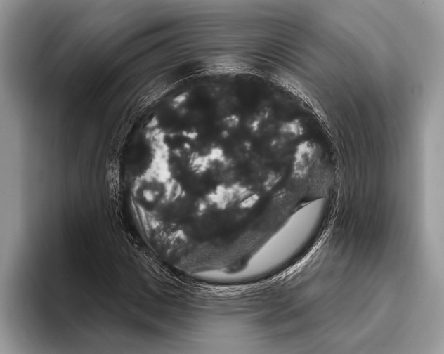 X0000093400825200711091339