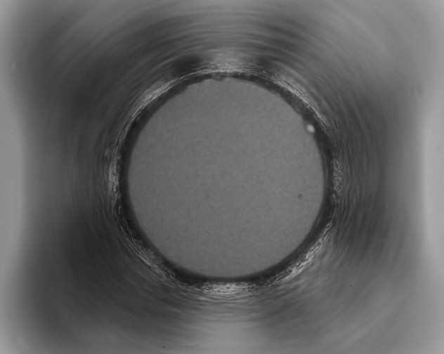 X0000093400826200711091339