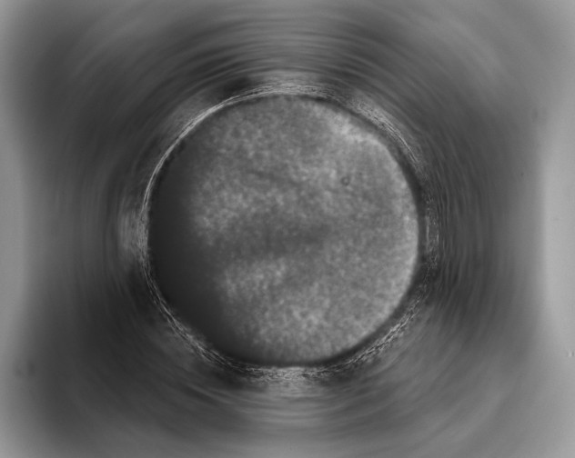 X0000093400828200711091339