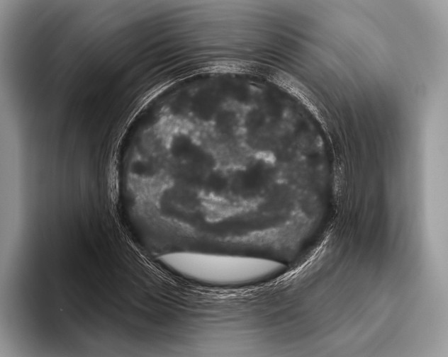 X0000093400829200711091339