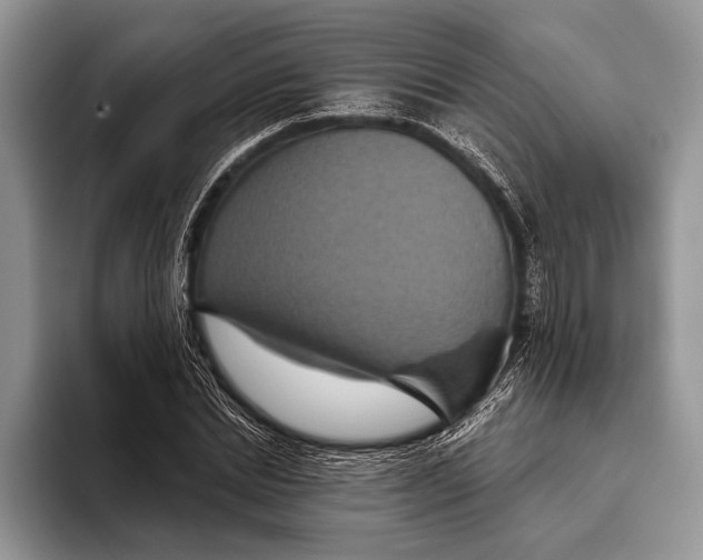 X0000093400830200711091339