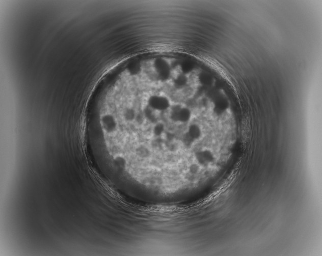 X0000093400831200711091339