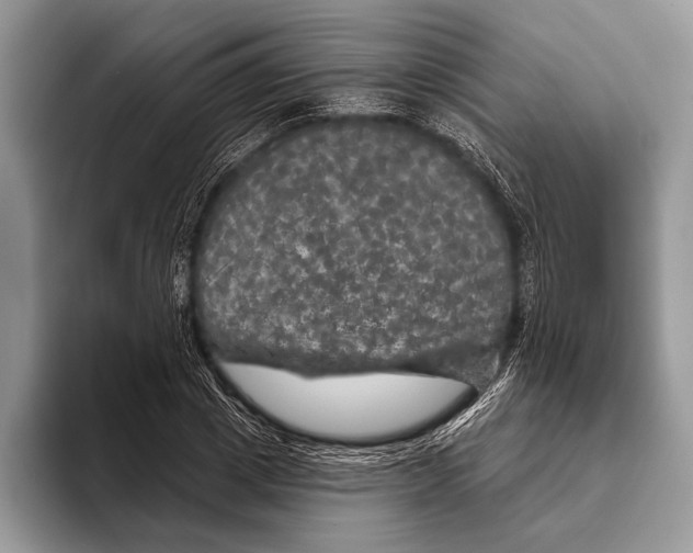 X0000093400833200711091339