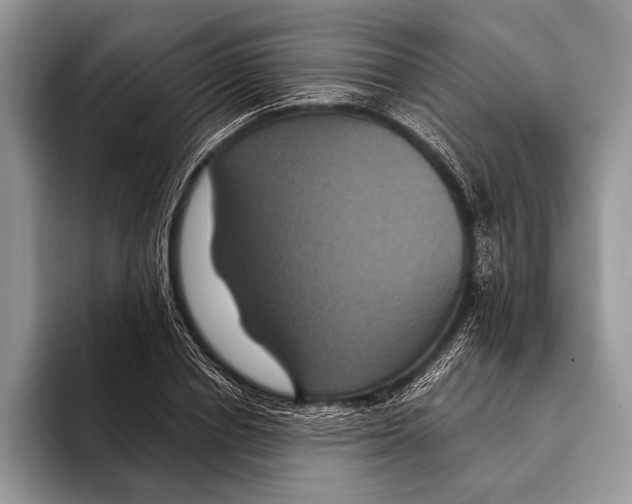 X0000093400834200711091339